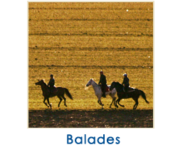 balades1